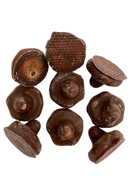Jättegott Franssons Choklad Skumsvampar​ Schaum-Pilze mit Schokoladen-Überzug 100g