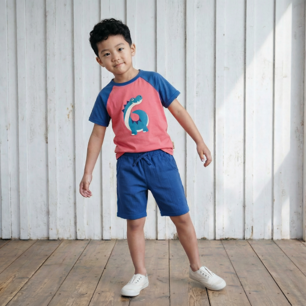 T-Shirt Geburtstag 6 Dino - Maxomorra