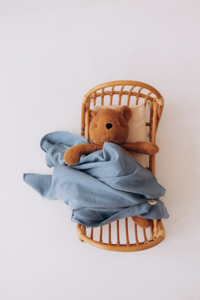 Teddy Bär klein - organic