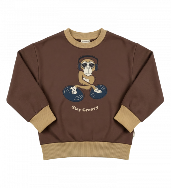 Pullover Monkey Stay Groovy - Maxomorra