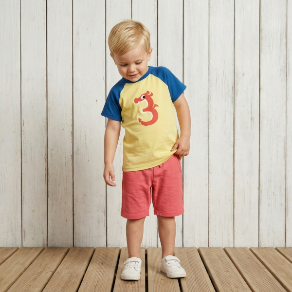 T-Shirt Geburtstag 3 Drache - Maxomorra